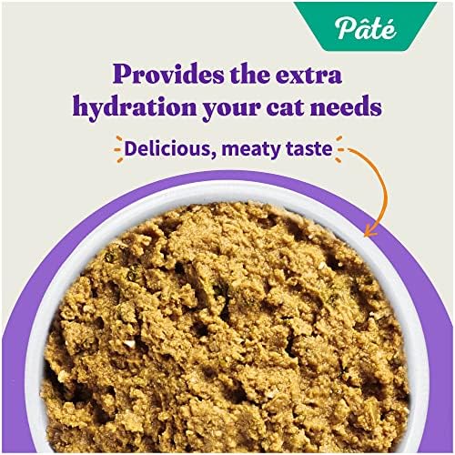 Halo Wet Cat Food Real Chicken Recipe, Grain-Free Wet Pate, Canned Cat Food for Extra Hydration, 5.5 Oz Can (Pack of 12)