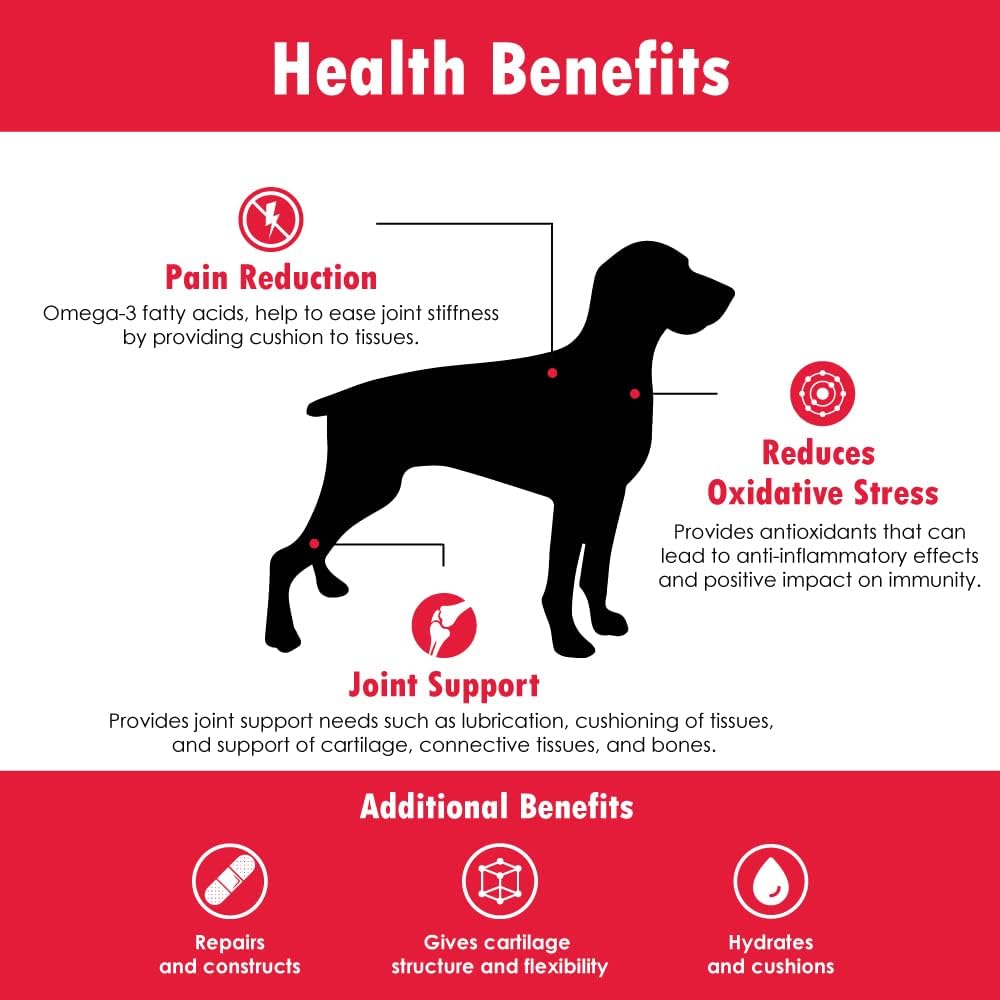 Double Strength (DS) Capsules for Dogs, Glucosamine, Chondroitin, Vitamins and Antioxidants