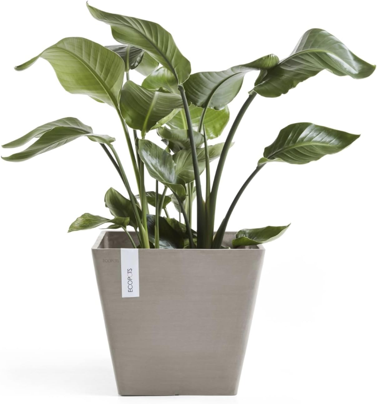 Ecopots Rotterdam Square Flower Planter, White Grey, 8" | Modern Style, Durable Recycled-Based Composite Construction, Weather and UV-Resistant, for Indoor/Outdoor Use