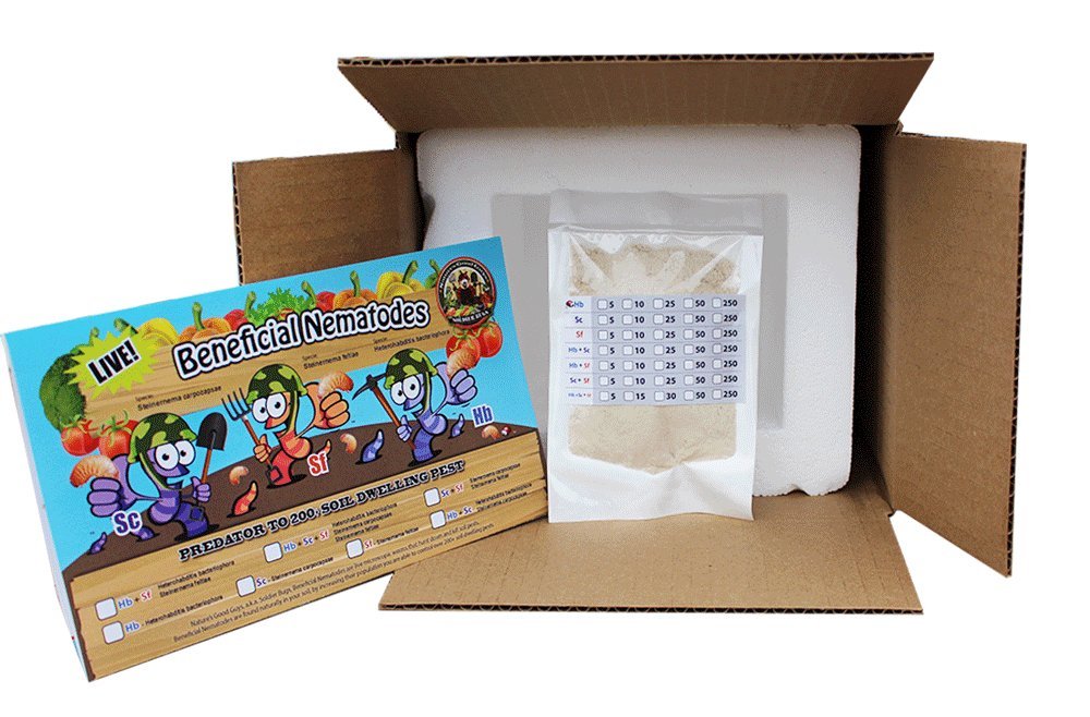 NaturesGoodGuys Beneficial Nematodes Steinernema feltiae SF - 5 Million