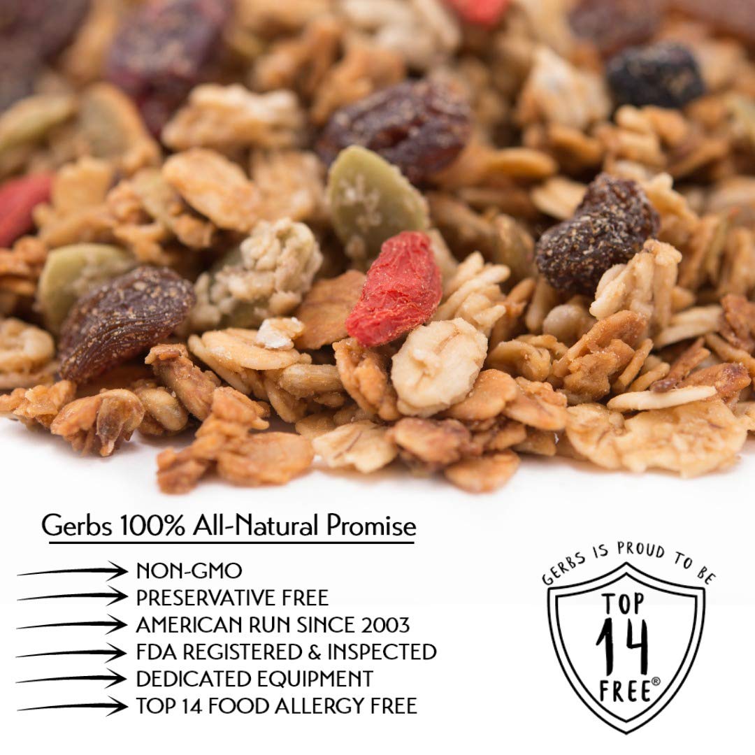 Gerbs Super 5 Seed Granola 2 lbs. | Small Batch, No Additives | Crunchy 5-Seed Blend: Pumpkin, Sunflower, Chia, Hemp & Flax | Top 14 Allergen-Free