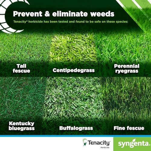 Tenacity Turf Herbicide - 8 ounces (Packaging may vary)