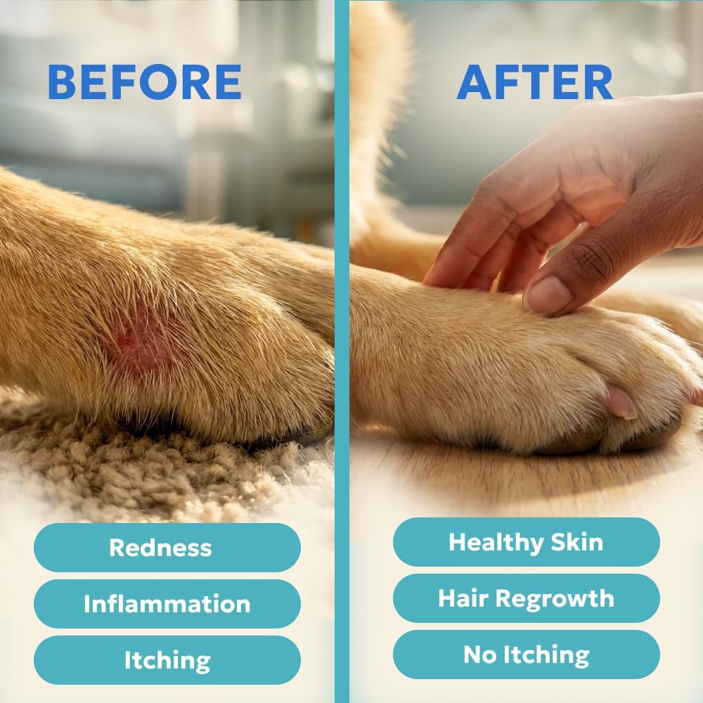 Blue Butter – Hot Spot Treatment for Dogs Cats | Dog Cat Wound Care | Skin Yeast Infections, Ringworm, Cuts, Rashes, First Aid Veterinary Strength Anti Itch Cream 4oz
