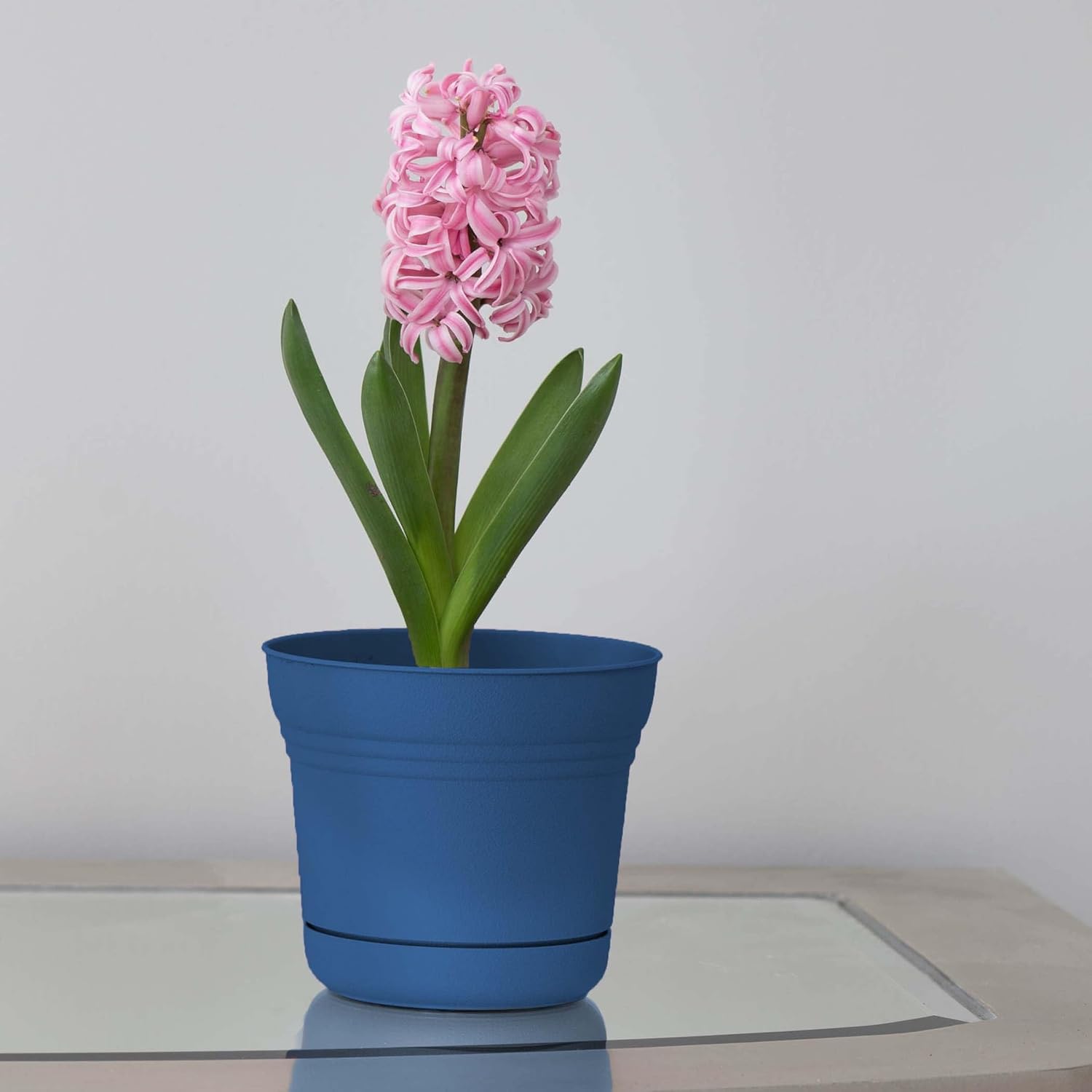 Bloem Saturn Planter with Saucer, 10", Calypso (SP1027)