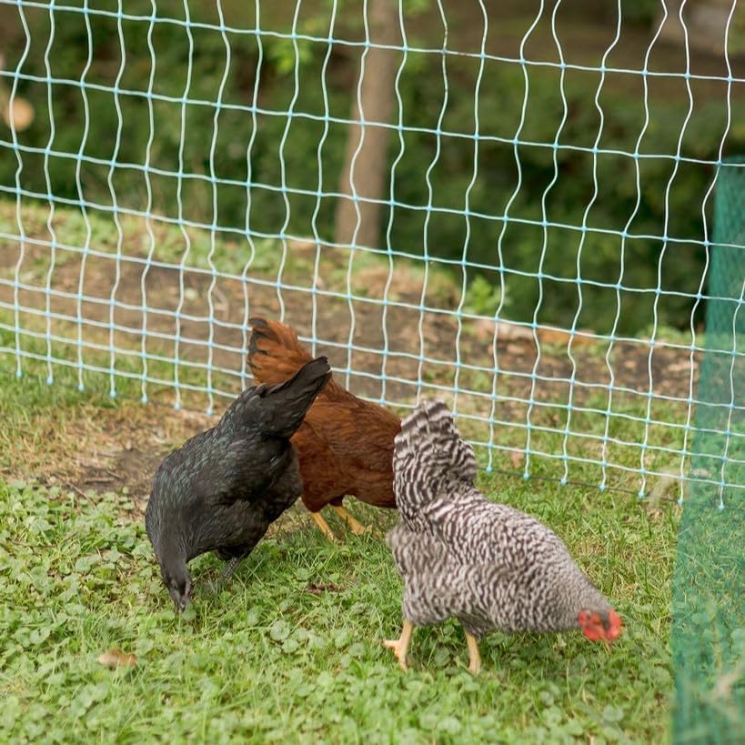 Starkline 48" x 164' Premium Electric Poultry Netting Solar Kit | White/Blue All-in-One Solar Electric Fence Kit for Backyards, Homesteads, Farms