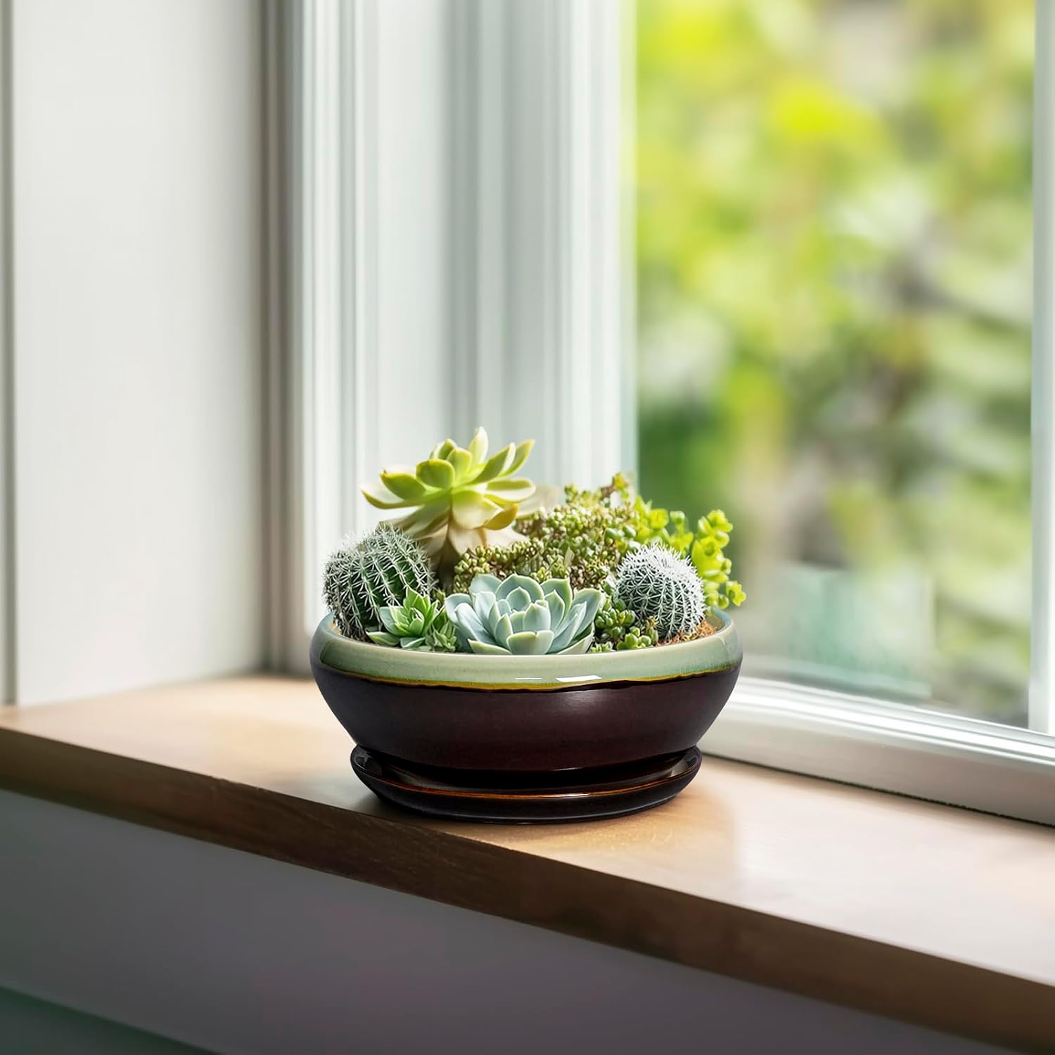 SQOWL 7 Inch Round Ceramic Succulent Planter Pot Drip Glazed Shallow Planter with Drainage Bamboo Tray for Indoor Plants