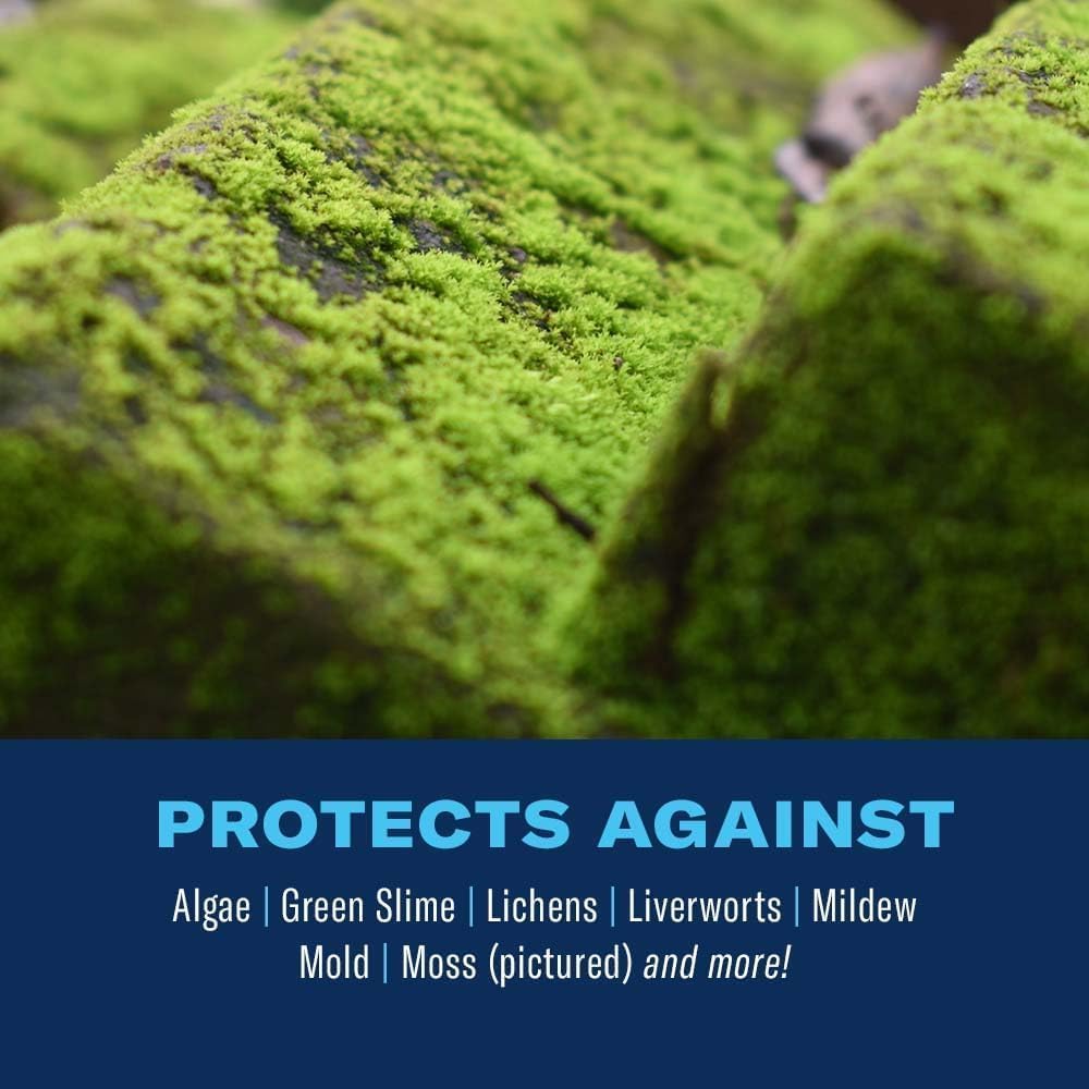 BioAdvanced 2-in-1 Moss and Algae Killer and Cleaner, Ready-to-Spray, 32 oz, 500 SQ FT | Ready-to-Spray - Use on Lawns, Ornamental Gardens