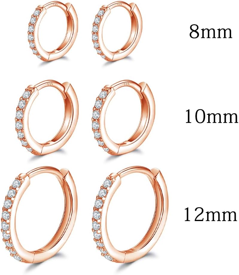 Dlihc 6 Pairs Sterling Silver Hoop and Stud Earrings Set for Women Men