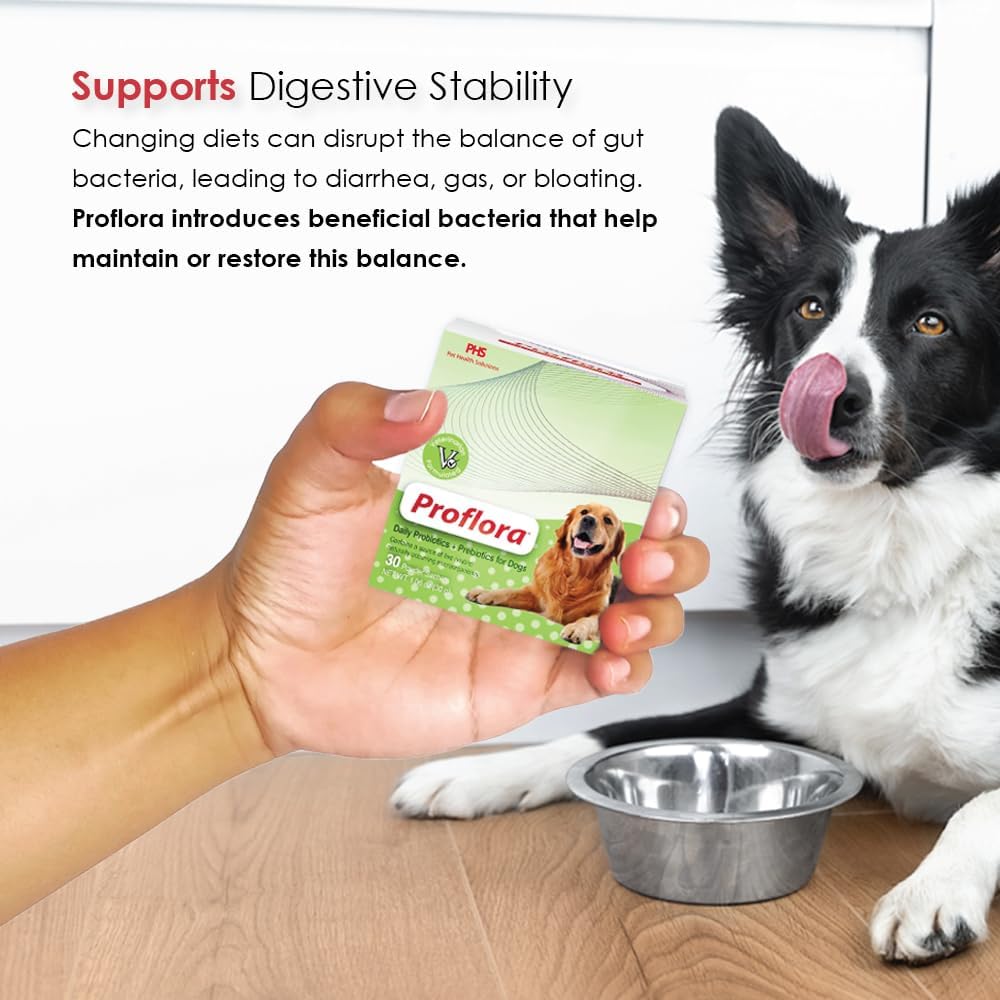 Probiotics and Prebiotics for Dogs – Daily Digestive Health Supplement, Supports Immune System, Gut Health, Healthy Digestion & Nutrient Absorption, 30 Powder Sachets.