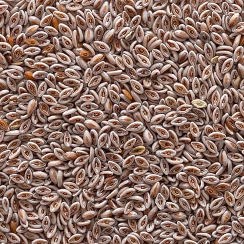Frontier Co-op Organic Whole Psyllium Seed 1lb