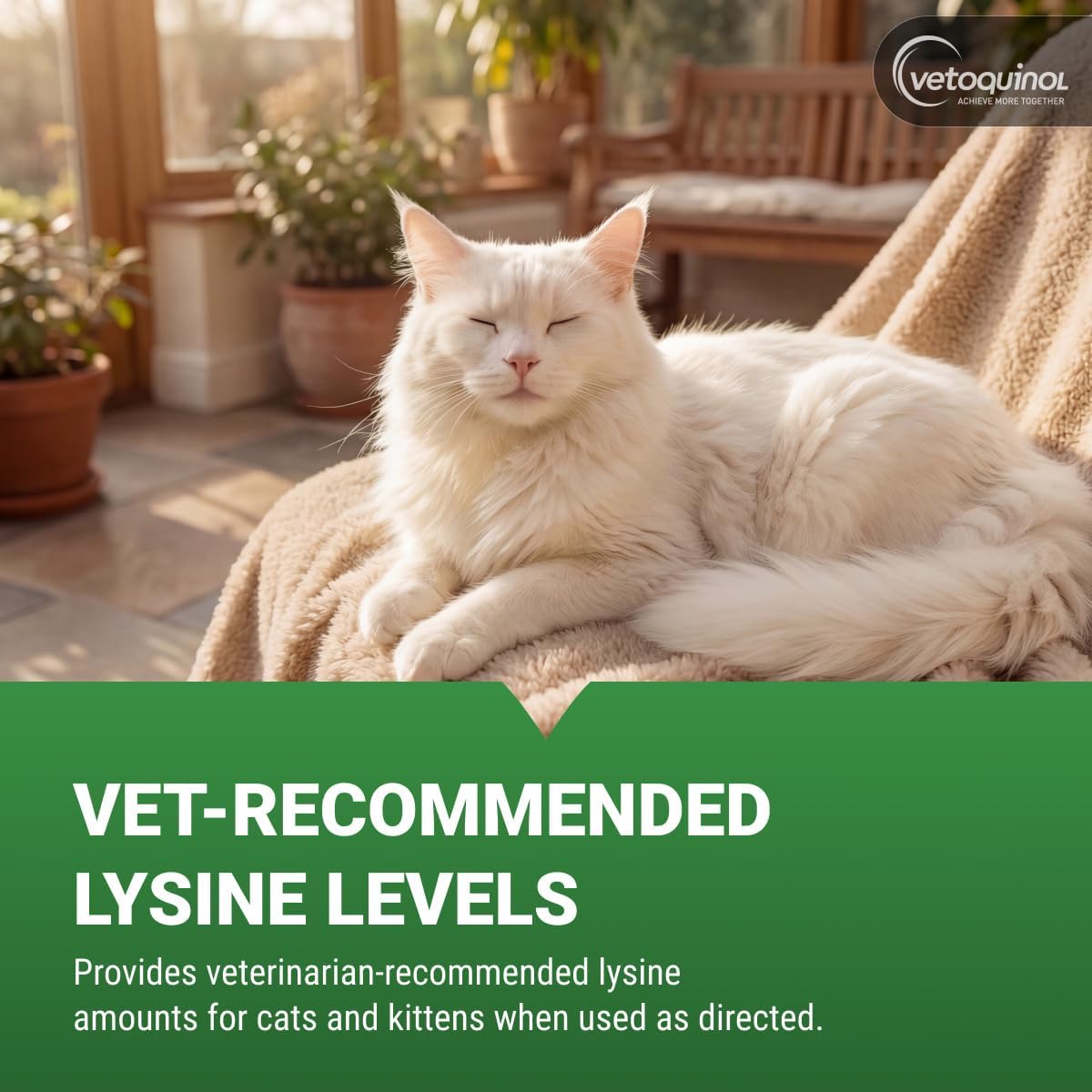 Vetoquinol Enisyl-F Lysine Bites - L-Lysine Chews for Cats & Kittens - Daily Supplement for Immune