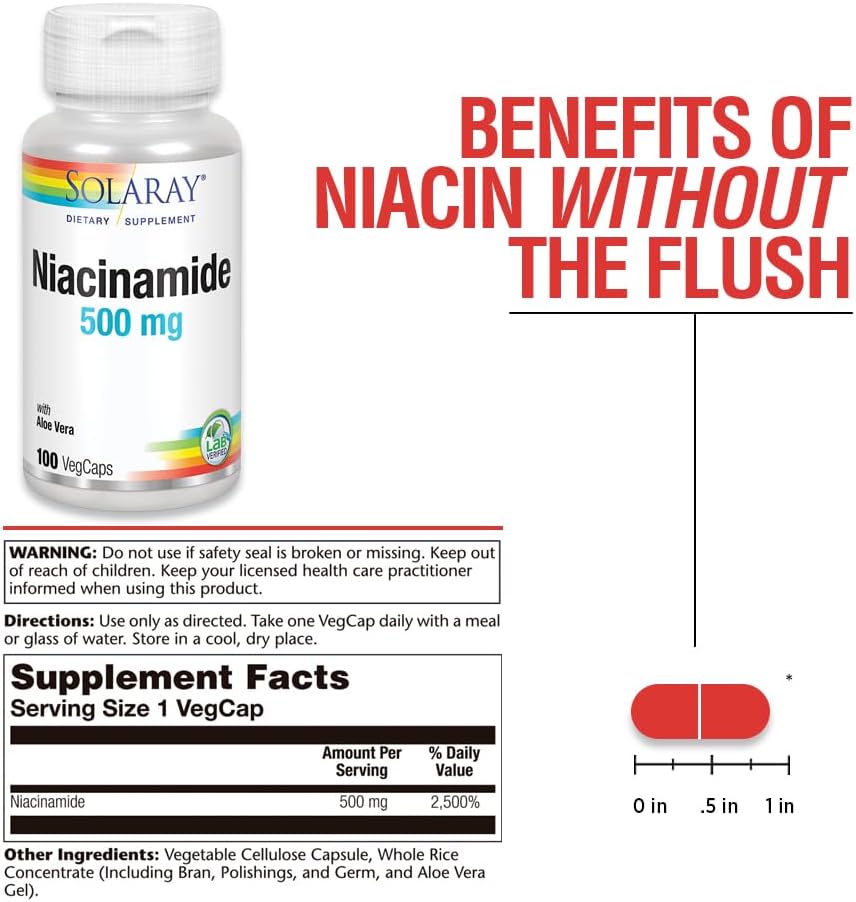 SOLARAY Niacinamide 500 mg | Vitamin B-3 | Energy Metabolism, Circulation, Nerve & Skin Health Support, 100 CT | Niacinamide Supplement