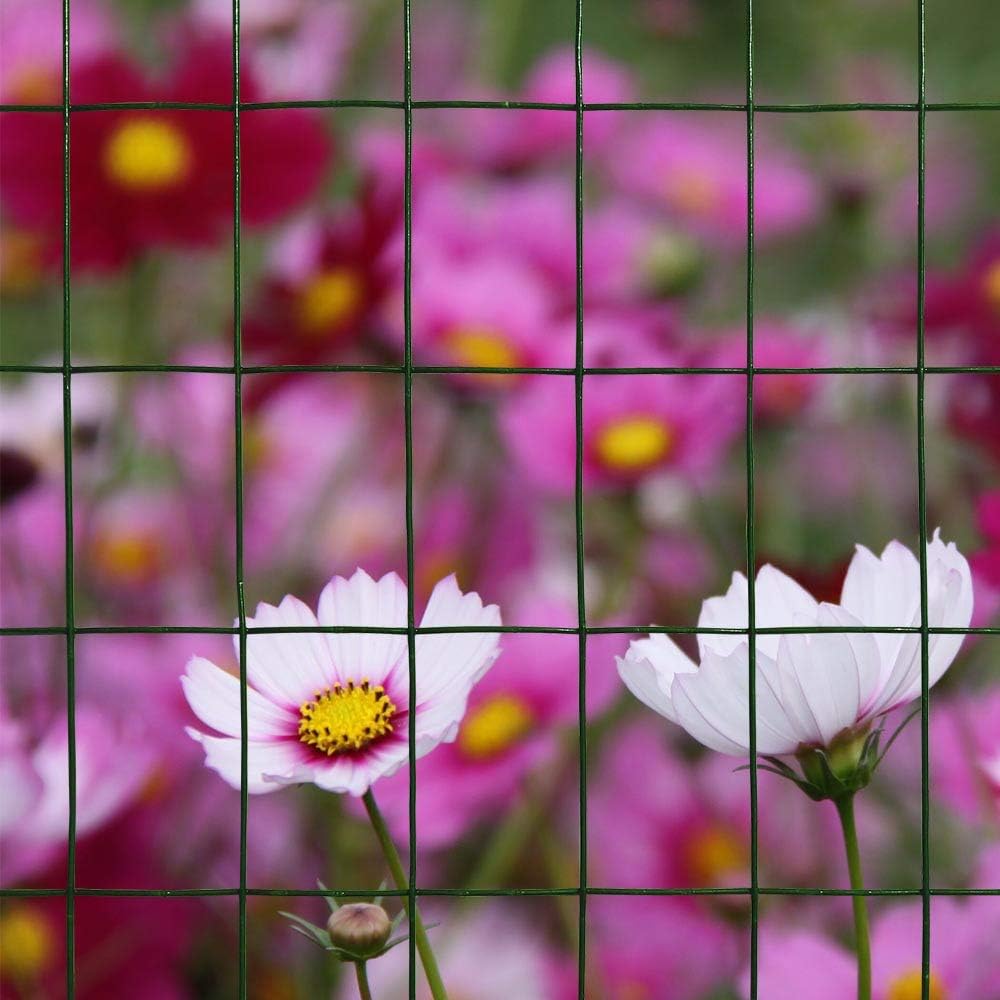 16GA Galvanized 48in x 50ft-3in x 2in Welded Wire Mesh Garden Economy Fence