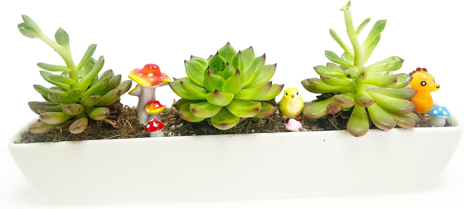 11inch Long Rectangle White Ceramic Succulent Planter Pots,with Bamboo Saucers. Product Size:11x2.23x1.69inch.