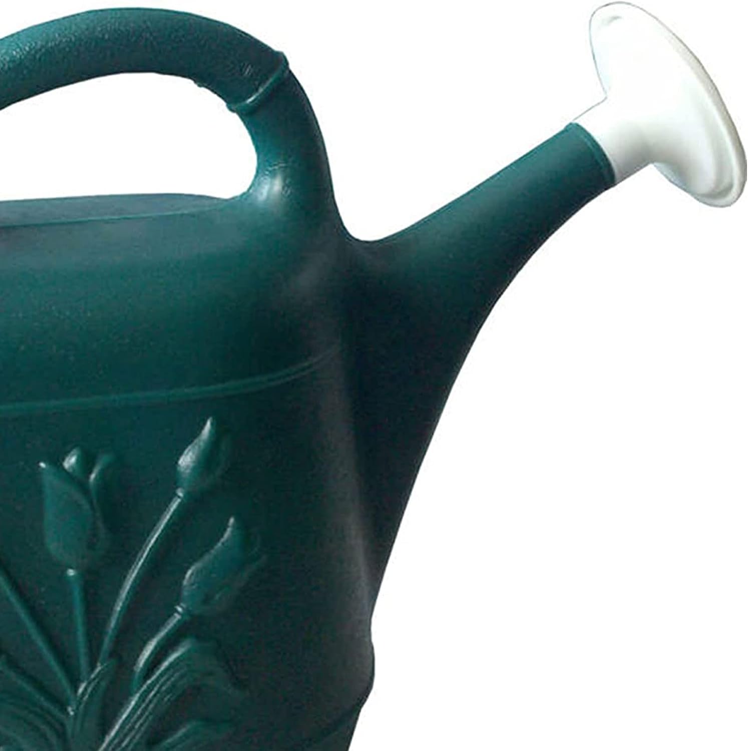 Union Products 63066 2 Gallon Plastic Indoor/Outdoor Watering Can w/Tulip Design for Garden, Potted Plants, & Patio Pots, Caribbean Blue