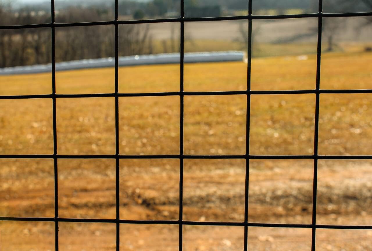 6' x 100' Welded Wire 19 Gauge Before Black PVC Coating 1" x 1" Mesh