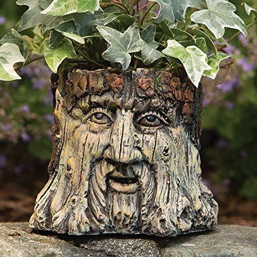Bits and Pieces - Tree Face Garden Planter Flower Pot - 5 1/2 Inch