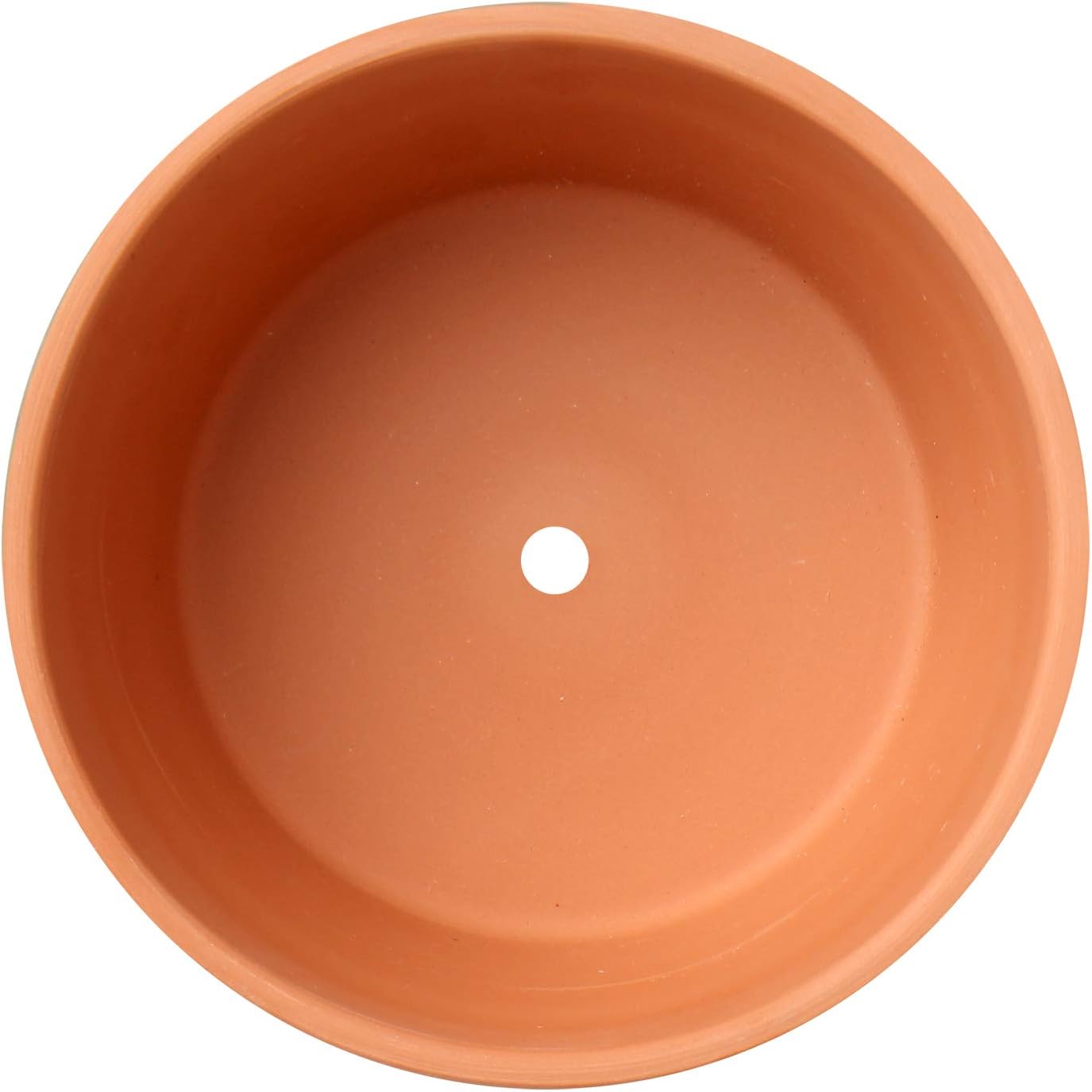 Briful 4 Shallow Terracotta Pots 5.5"x2.8" Flower Pots Clay Pottery Planter with Drainage Hole - Great for Cactus, Succulent Plants and Crafts