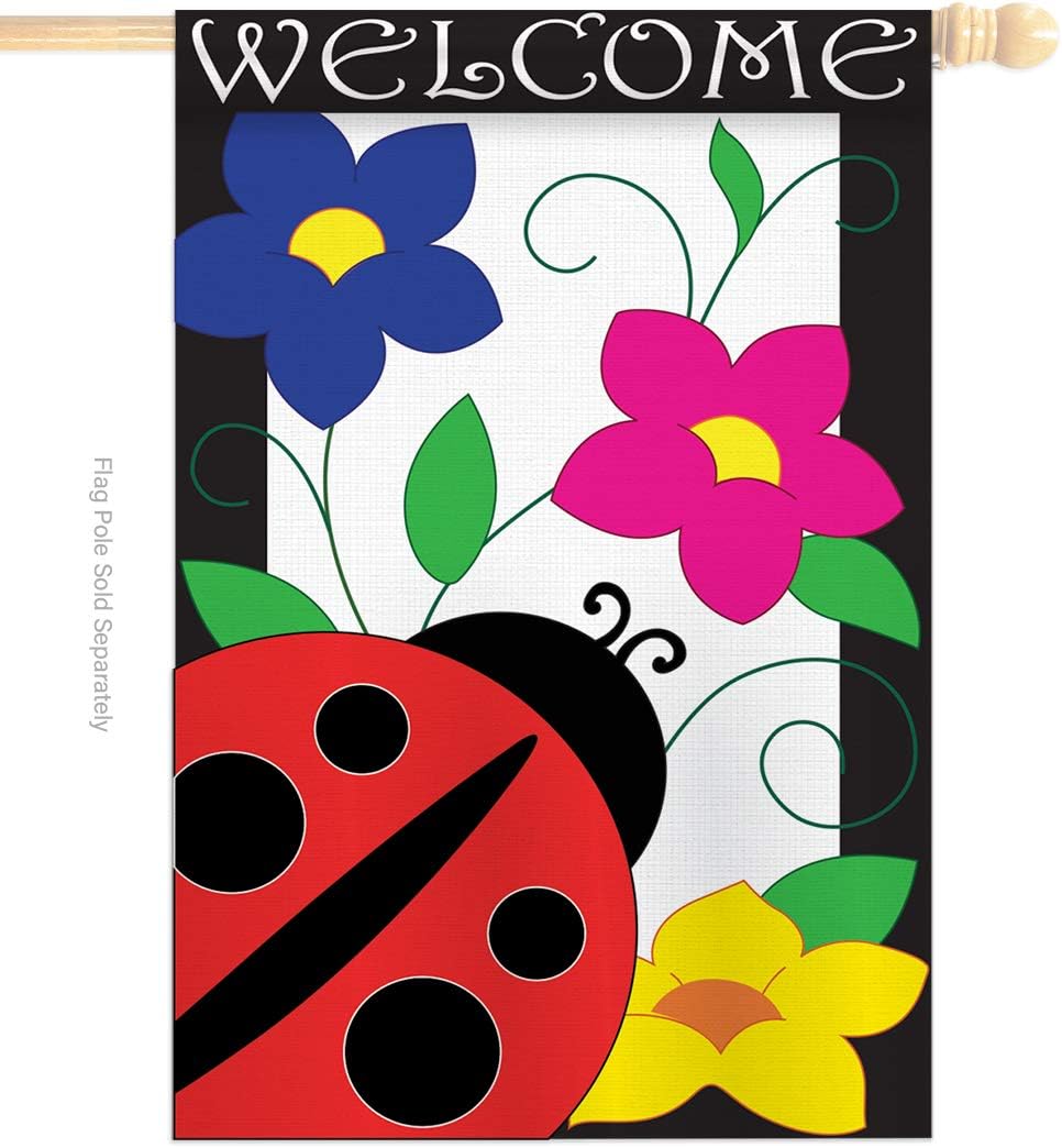 Breeze Decor Two Group HS104059-P2-03 Spring Ladybug Garden Friends Bugs & Frogs Applique Decorative Vertical 28" x 44" Double Sided House Flag Set