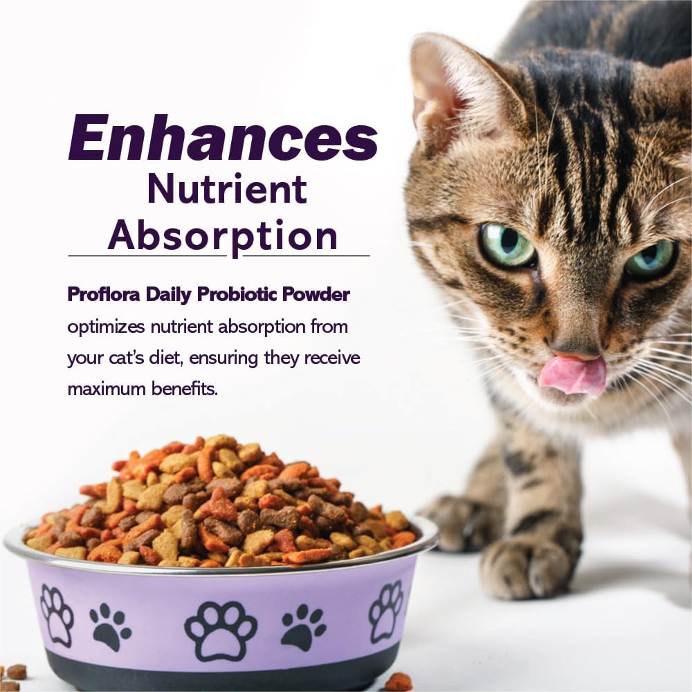 Probiotics and Prebiotics for Dogs – Daily Digestive Health Supplement, Supports Immune System, Gut Health, Healthy Digestion & Nutrient Absorption, 30 Powder Sachets.