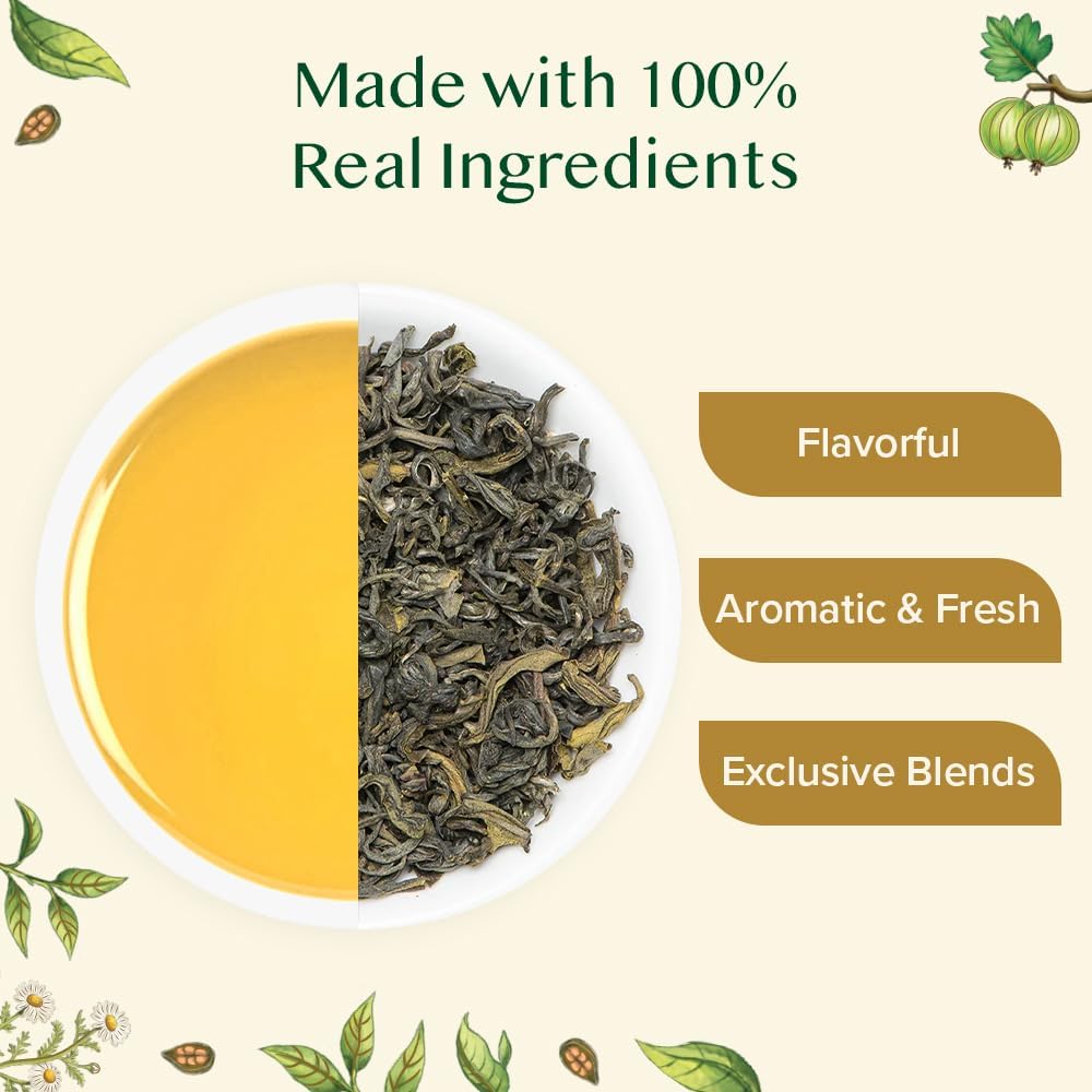 VAHDAM Assorted Green Tea Loose Leaf Tea Gift Set (10 Flavors) | Loose Leaf Green Tea Collection | Includes Himalayan Green Tea Varieties | Packed in Resealable Ziplock Pouches