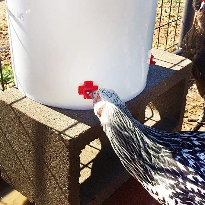 20 Pack Chicken Waterer Nipples for Chicks to Chickens with Drill Bits | Water Saving Design, Easy Install Leakproof Poultry Watering System, Chicken Coop Accessories, Quail Water Feeder