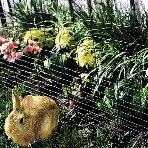 YARDGARD – 4 in. to 1 in. Mesh Welded Wire Fence – 28 in. x 50 ft. 16‑Gauge Vinyl Coated Galvanized Steel – for Rabbit Fencing | Garden