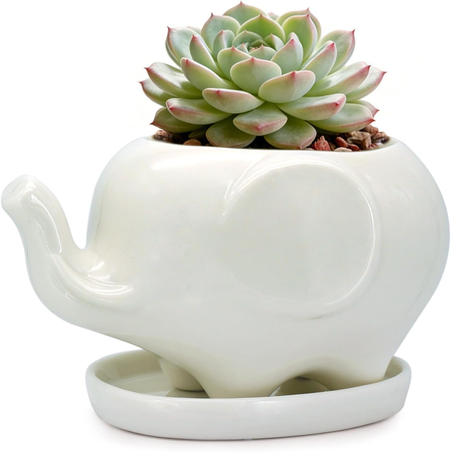 GeLive White Cow Succulent Pot, Small Ceramic Animal Planter with Drainage Hole & Saucer for Cactus, Mini Air Plants, Pencil Holder Brush Organizer, Indoor Home Office Desk Decor, Funny Gift