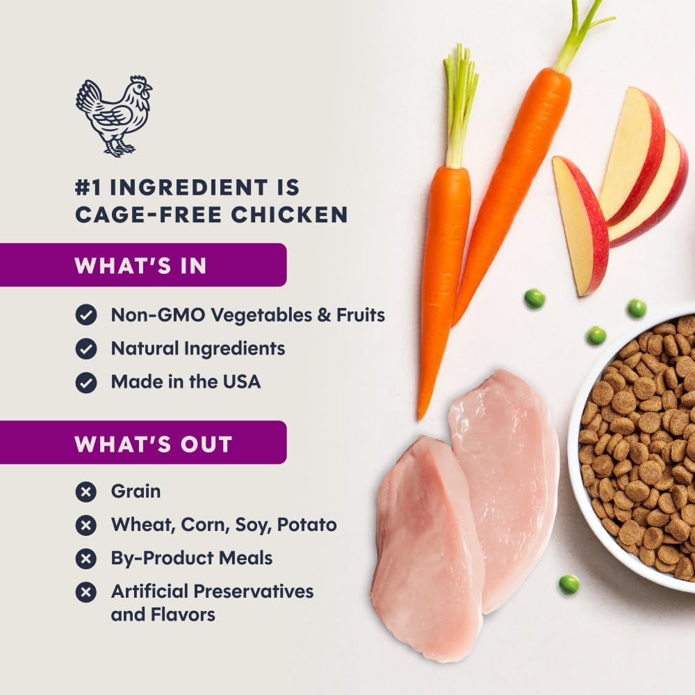 Instinct Original Dry Cat Food, Raw Coated Kibble, Real Chicken, 11 lb. Bag | Raw-coated kibble with cage-free chicken for strong muscles, digestive health, and healthy skin & coat, grain-free