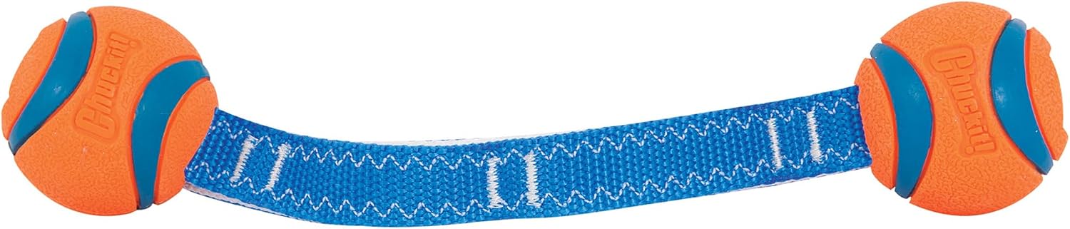 Chuckit! Ultra Tug Dog Toy - Ultra Ball on a Durable Nylon Cord Handle - Fetch and Tug-of-War Toy for Dogs - Size Large - For Breeds 60-100 lbs - 3-inch Diameter - Orange and Blue