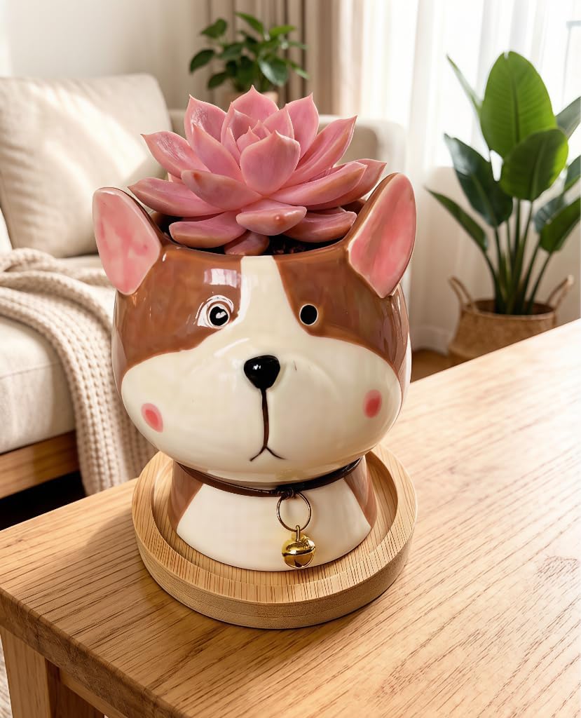 Cuteforyou Succulent Pots,Cute Animal Shaped Cartoon Ceramic Succulent Cactus Flower Planters -Plant Not Included，Cat