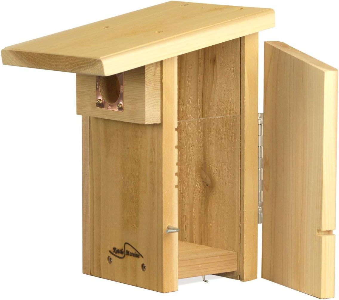 Cedar Super Bluebird House with Steel Pole Package (1)