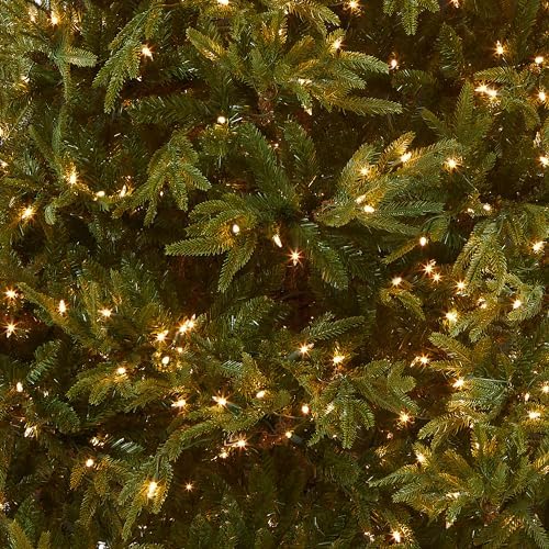 National Tree Company 7.5ft Pre-Lit Fraser Grande Artificial Christmas Tree | 1,000 Clear Lights, 3,719 Tips, Includes Stand, Green