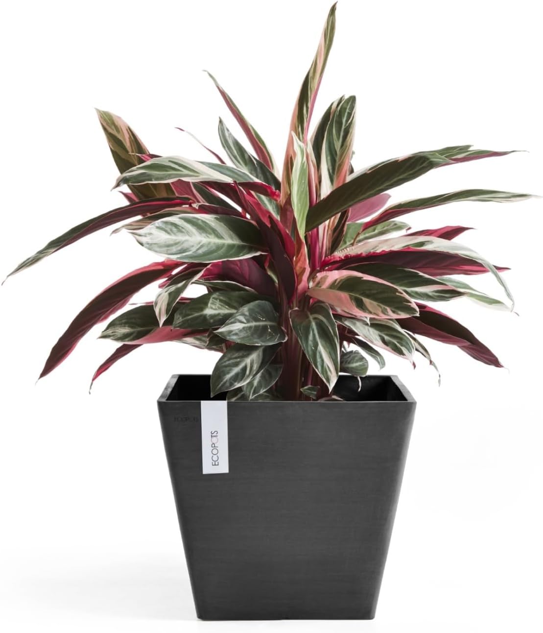 Ecopots Rotterdam Square Flower Planter, White Grey, 8" | Modern Style, Durable Recycled-Based Composite Construction, Weather and UV-Resistant, for Indoor/Outdoor Use