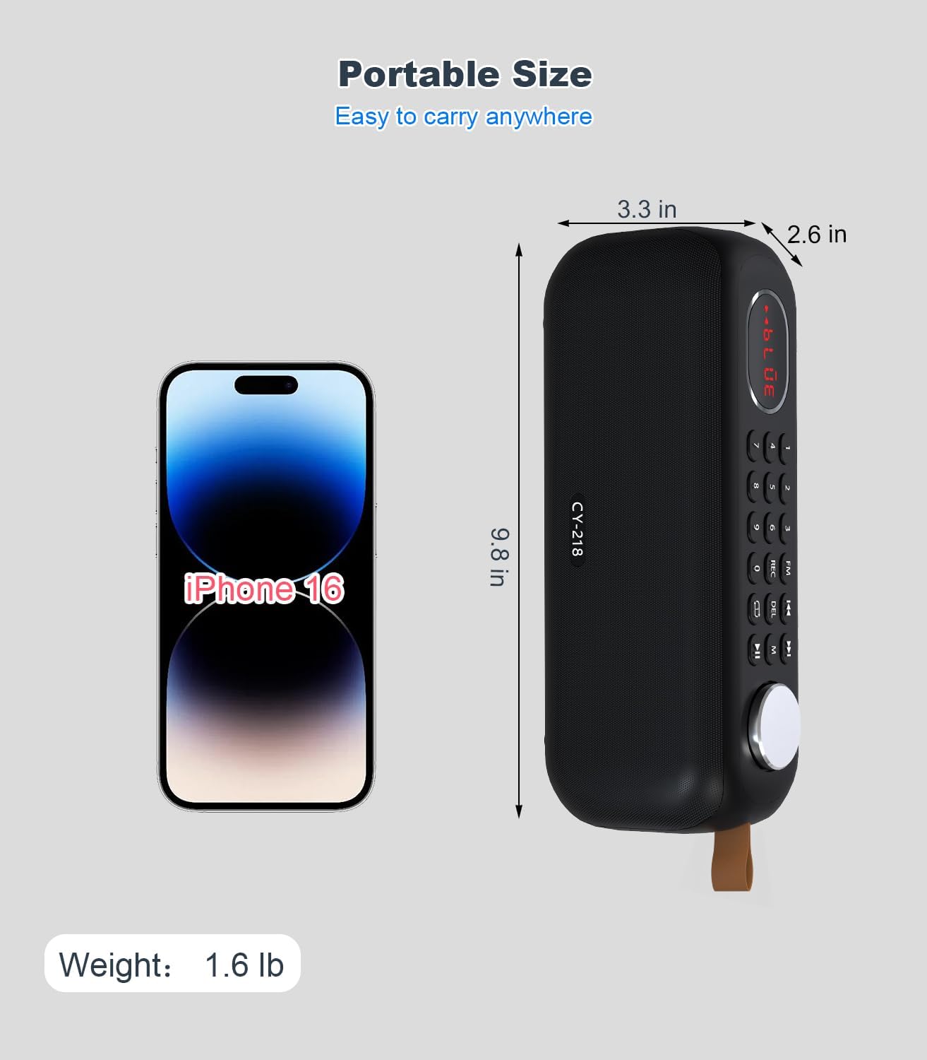 Portable Bluetooth Speaker FM Radio Digital, Support USB/SD Card MP3 Music Player/AUX/REC, Build-in 3000mAh Rechargeable Battery