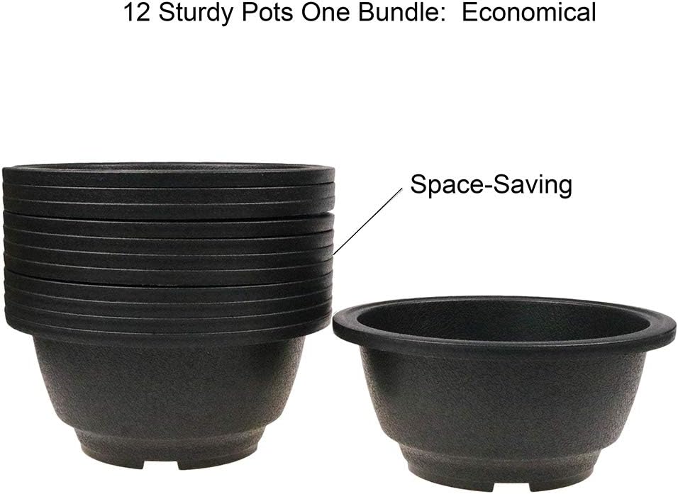 MUZHI 12PACK Matte Black Succulent Bonsai Round Planter Bowl Pot with Drainage, Plastic Cactus Flat Garden Plant Bowl Pots 6.3”