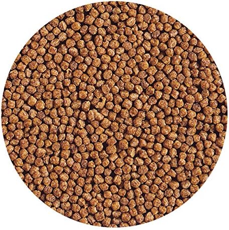 Hikari Gold Baby Floating Pellets for Koi and Pond Fish for Pets, 3.5-Ounce