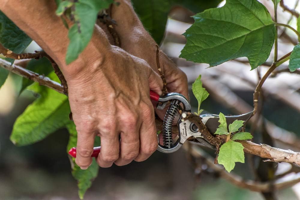 Corona Classic Cut 8 in. Steel Bypass Pruners