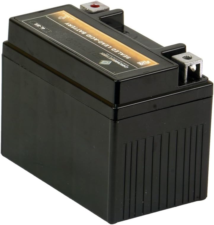 CB CHROMEBATTERY YTX30L-BS 12V 385 CCA AGM – Maintenance-Free 30Ah Battery for Harley, ATV, UTV, Snowmobile, Jet Ski – T3 Nut & Bolt Terminal – Fits Harley Touring, Polaris Sportsman 850