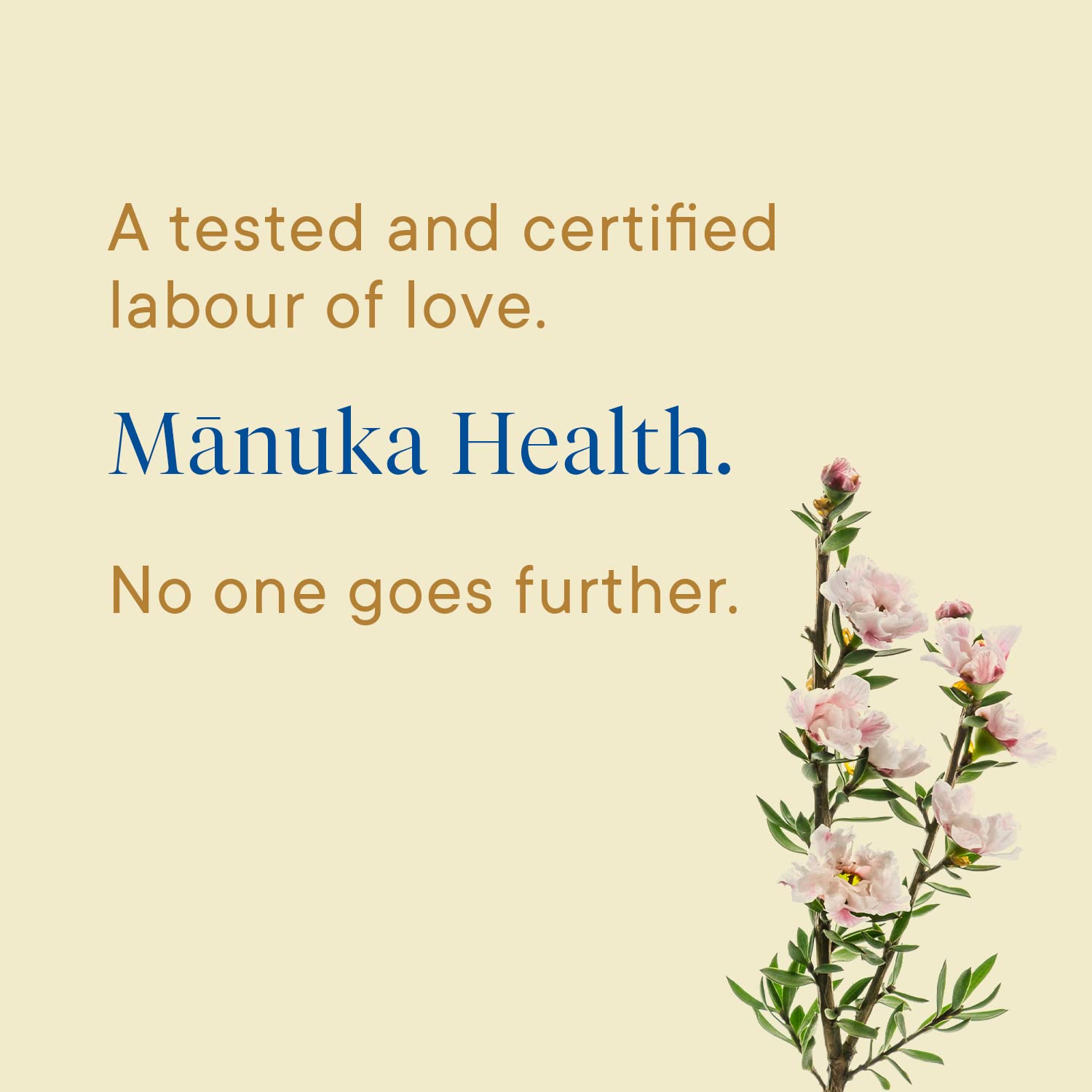 Manuka Health UMF 16+/MGO 573+ Manuka Honey (250g/8.8oz), Superfood, Authentic Raw Honey from New Zealand