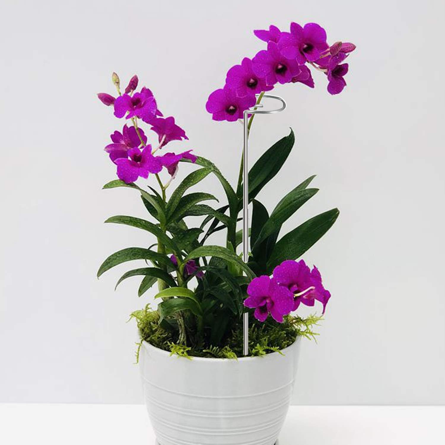 30 Inch Or 16 InchPlant Stakes for Flowers - 5 Pack, Adjustable Height
