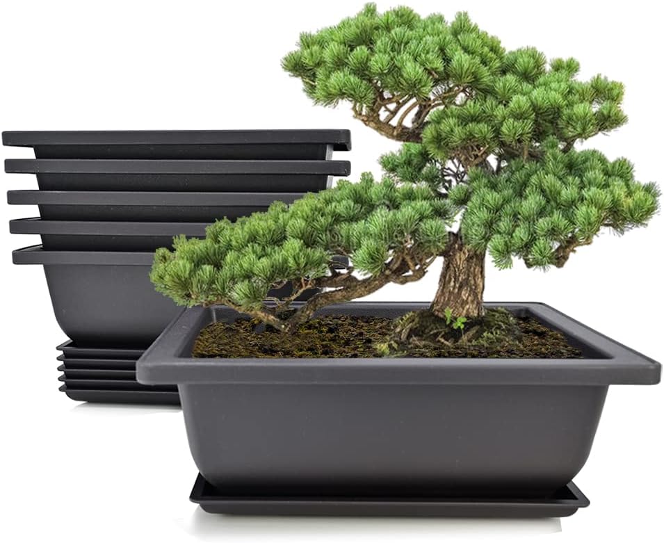 MUZHI 6PCS/Pack Retro Style Basin Plastic Flower Pot 6.5 Inch Flower Bonsai Tree Plant Bowl Nursery Pots Maceta Cuadrada Simulational Purple Sands Pots with Tray Rectangle Small