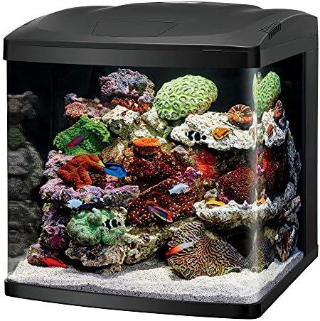 Coralife BioCube, Aquarium Kit, Nano Tank, Customizable LED Lighting, for Saltwater and Freshwater Environments, 16 Gallons