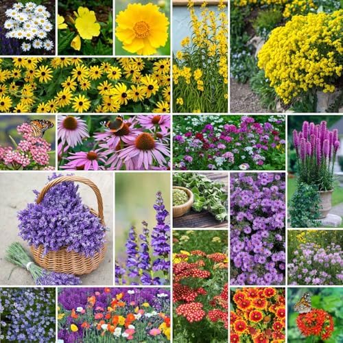 Eden Brothers The Bees Knees Pollinator Wildflower Seed Mix, 1/4 lb (135,000+ Seeds) Throw and Grow - 100% Pure, No Fillers - 18-Variety Non-GMO Annual + Perennial, Covers up to 1,100 SqFt, Zones 3-10
