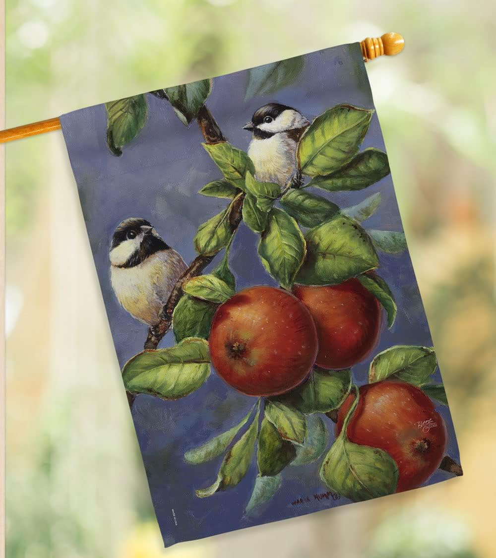 H105034-BO Chickadees & Apples Garden Friends Birds Impressions Decorative Vertical 28" x 40" Double Sided House Flag Printed in USA