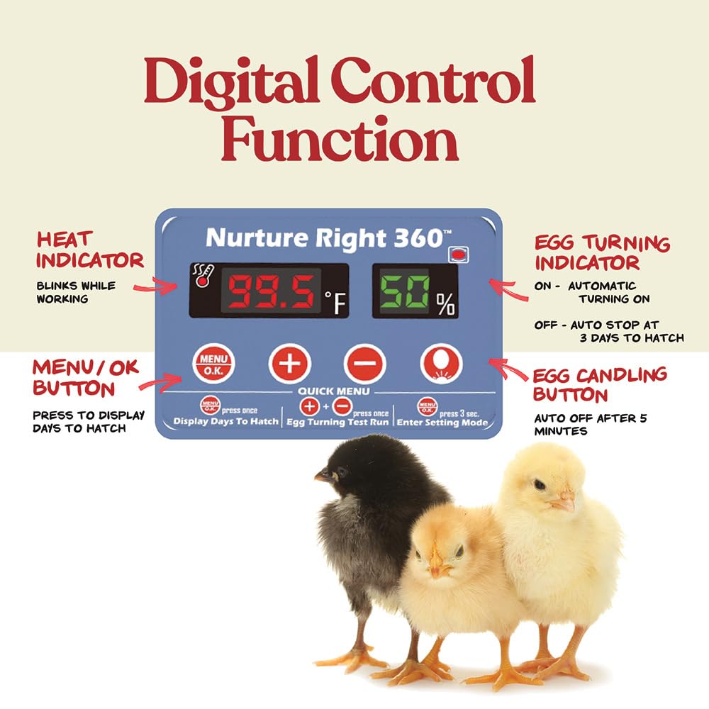 Harris Farms Nurture Right Egg Incubator with Auto Turner, Holds 22 Eggs