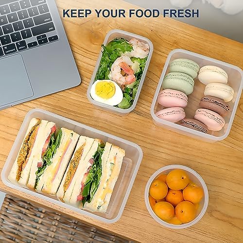 28 Pieces Food Storage Containers with Lids EXTRA LARGE Freezer Containers for Food BPA-Free Meat Fruit Vegetables Plastic Containers with lids