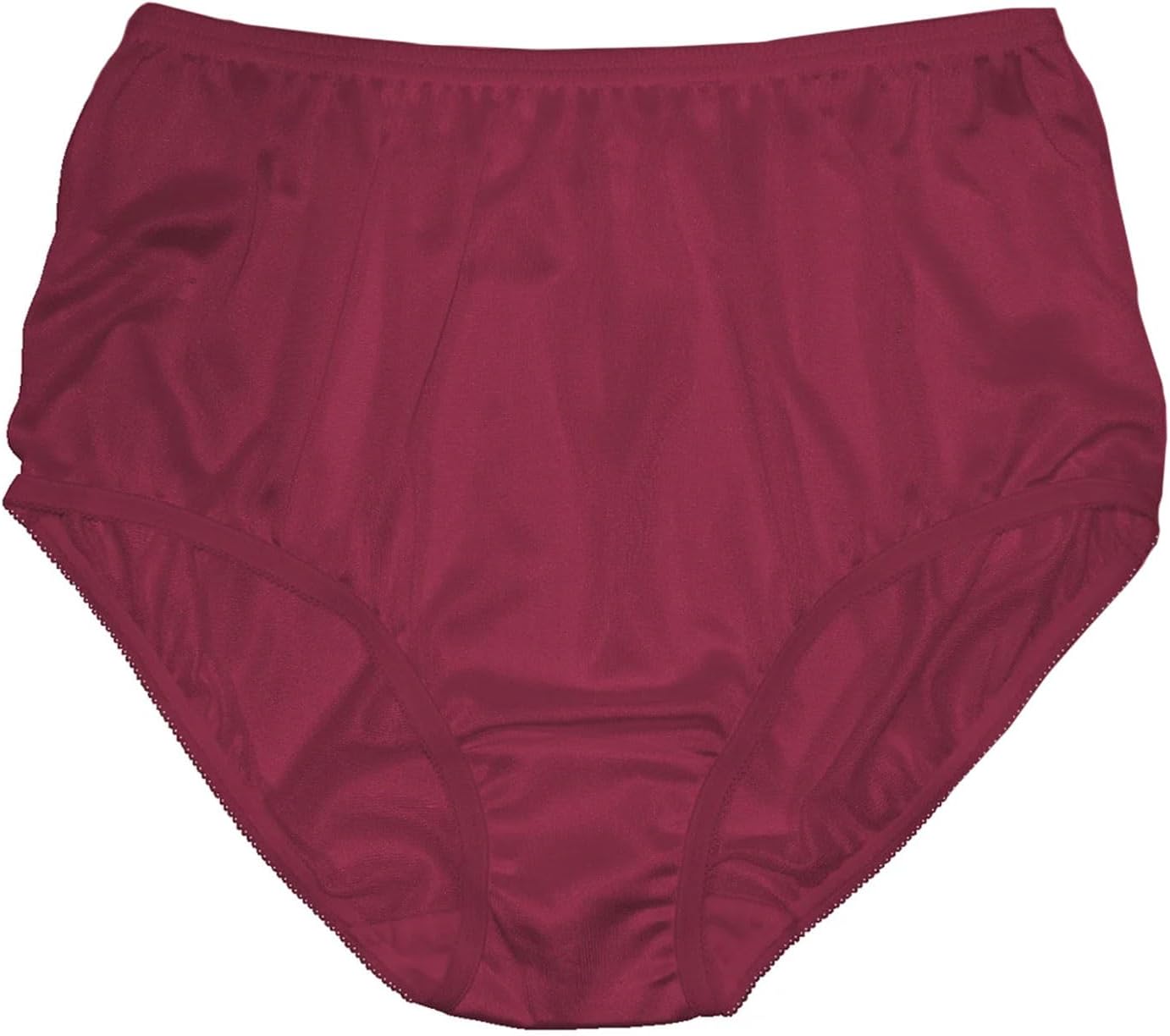 Teri Women's 331 Plain Jane Classic Nylon Silky-Smooth Lightweight Breathable Full Coverage Brief Panty - 4 Pack