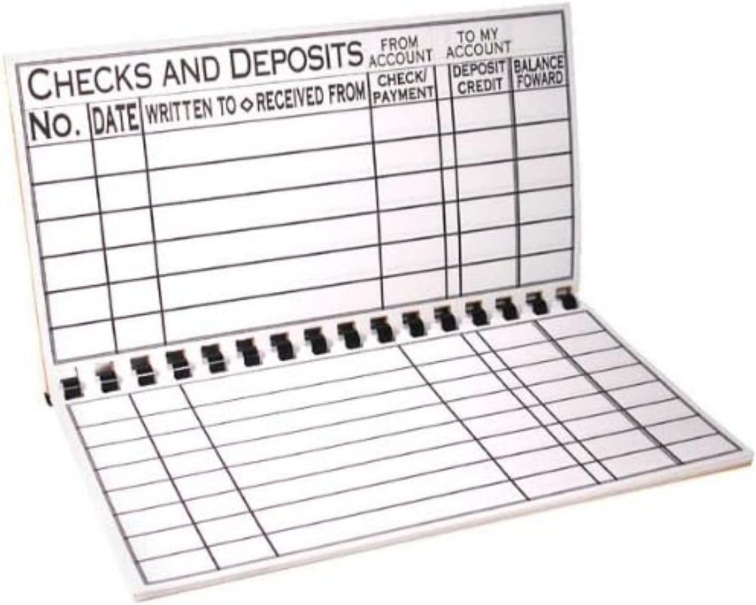 The Giant Print Check Register
