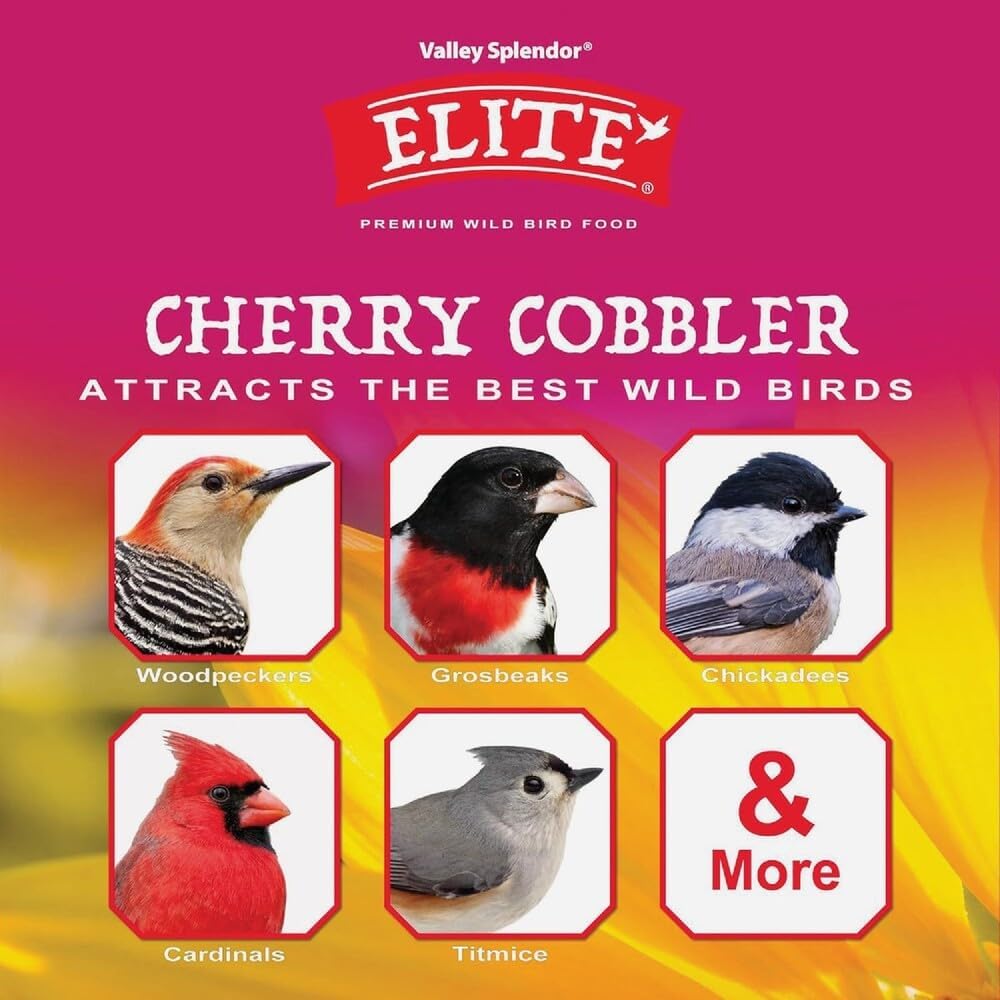Cherry Cobbler